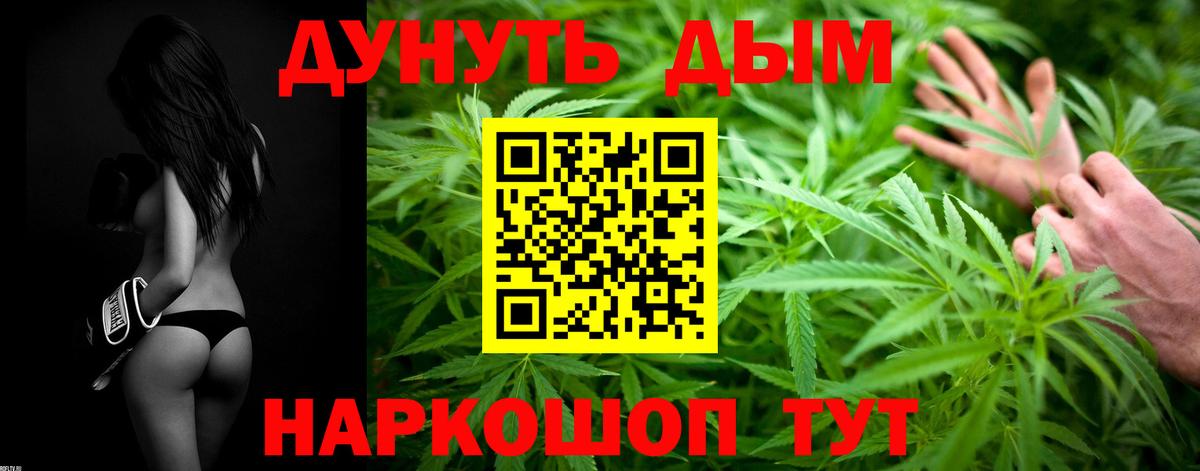 Конопля OG Kush  Вход с VPN  Канабис гибрид  Тара 